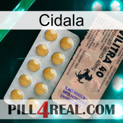 Cidala 41